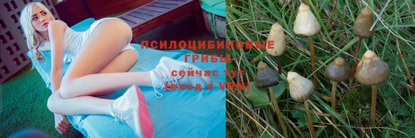дурь Магадан