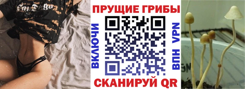 Псилоцибиновые грибы ЛСД Луга